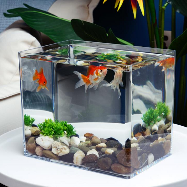 FC25-50 Tank de pescado transparente para el hogar