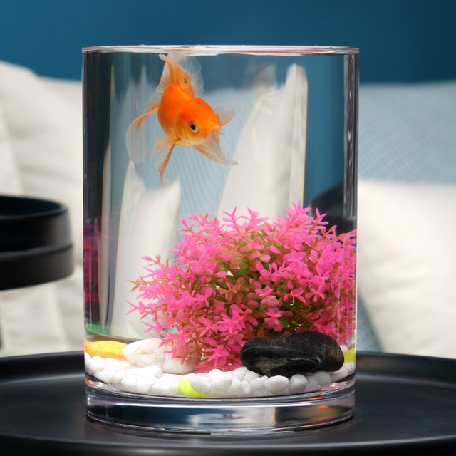 VR100-250 Tanque de pescado transparente de plástico