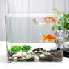 FC25-50 Tank de pescado transparente para el hogar