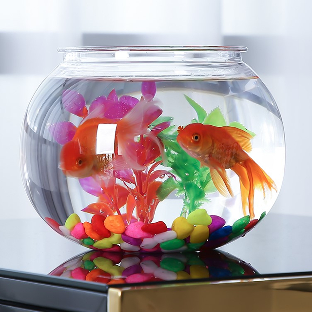 FB200-500 Tank de pescado transparente de plástico