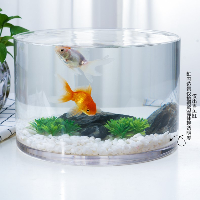 VR100-250 Tanque de pescado transparente de plástico